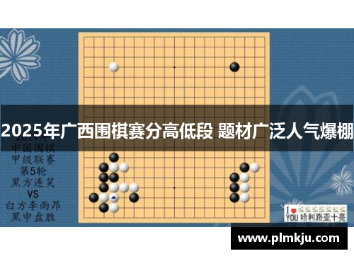2025年广西围棋赛分高低段 题材广泛人气爆棚