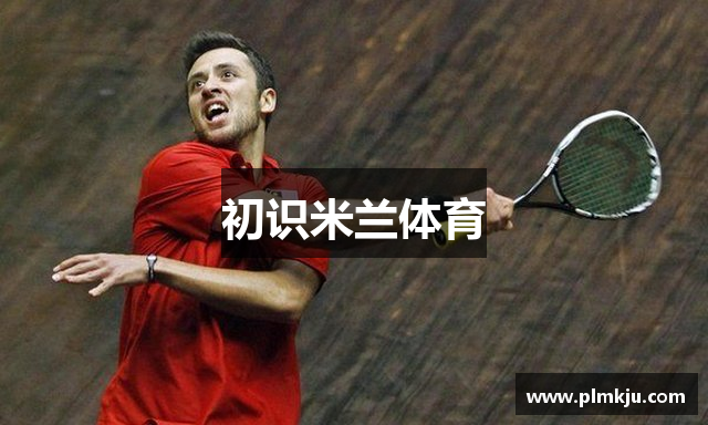 初识米兰体育